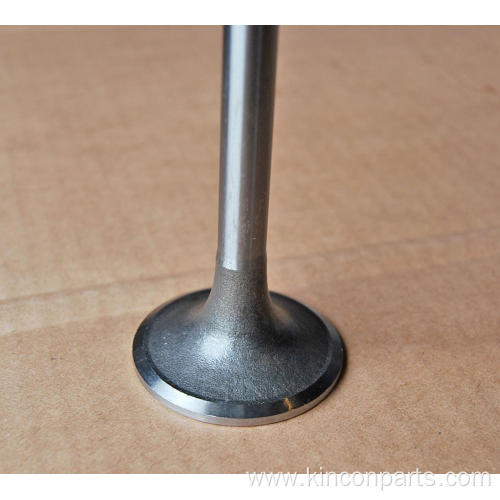 Engine Valves LR4105